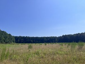 battlefield prairie